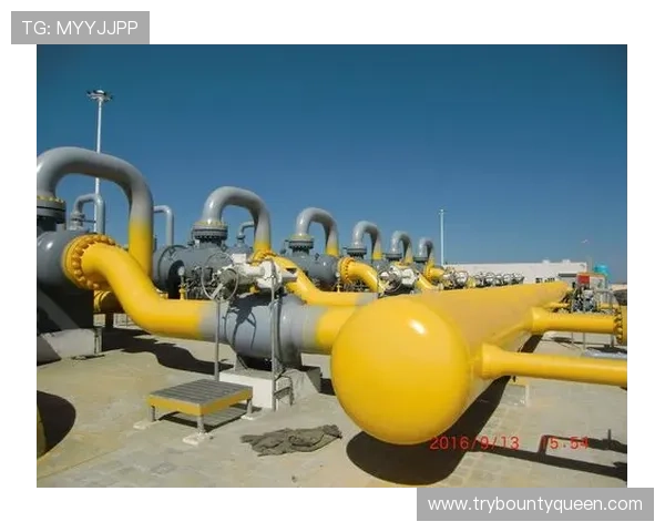 PGG油漆官方网站上的技术支持与咨询服务帮助用户解决实际使用中的难题