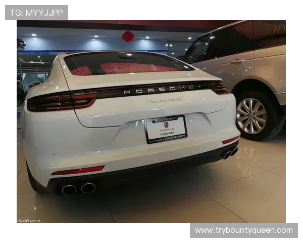 保时捷pg娱乐官网：便捷的在线购车流程与售后服务体系介绍