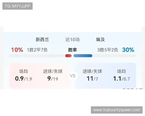 2026年世界杯新西兰对阵埃及比赛场馆容量及其对球迷观赛体验的影响